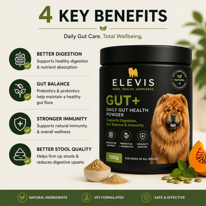 ELEVIS Daily Gut Health Powder