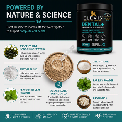 ELEVIS Daily Dental Care Powder