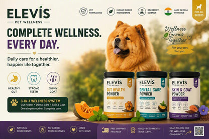 ELEVIS Complete Wellness Bundle